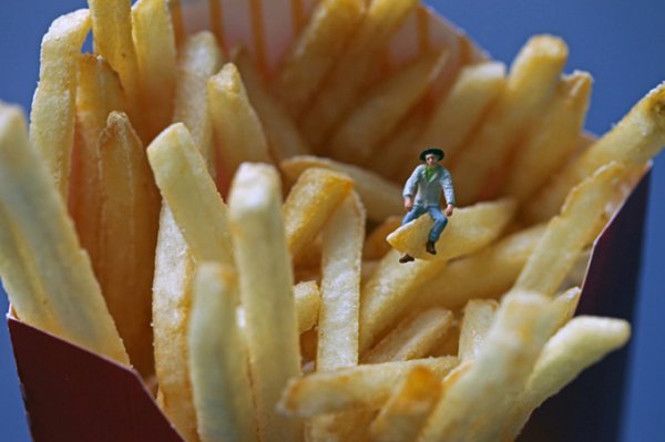 Οι ουσίες που καταστρέφουν τη νοημοσύνη