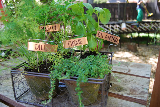 Momfessionals: Indoor herb garden