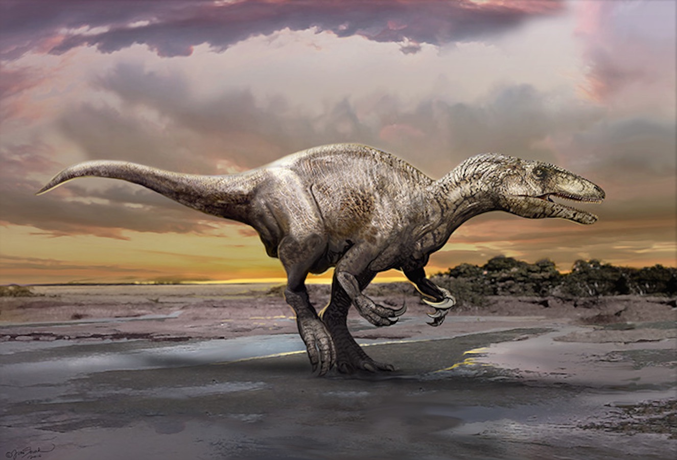 types of theropods