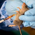 Nigeria: Lassa Fever Kills Two, Infects Health Worker, Two Others in Ondo