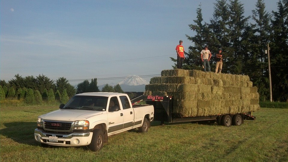 Kimmi's Dairyland Chicken Caesar Wraps