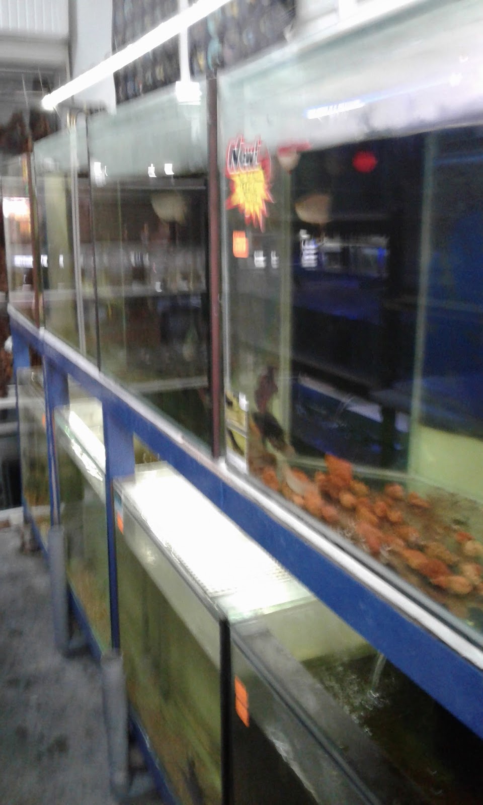 壬Aquarage Marvelous Aqua Link at Station 18, Ipoh