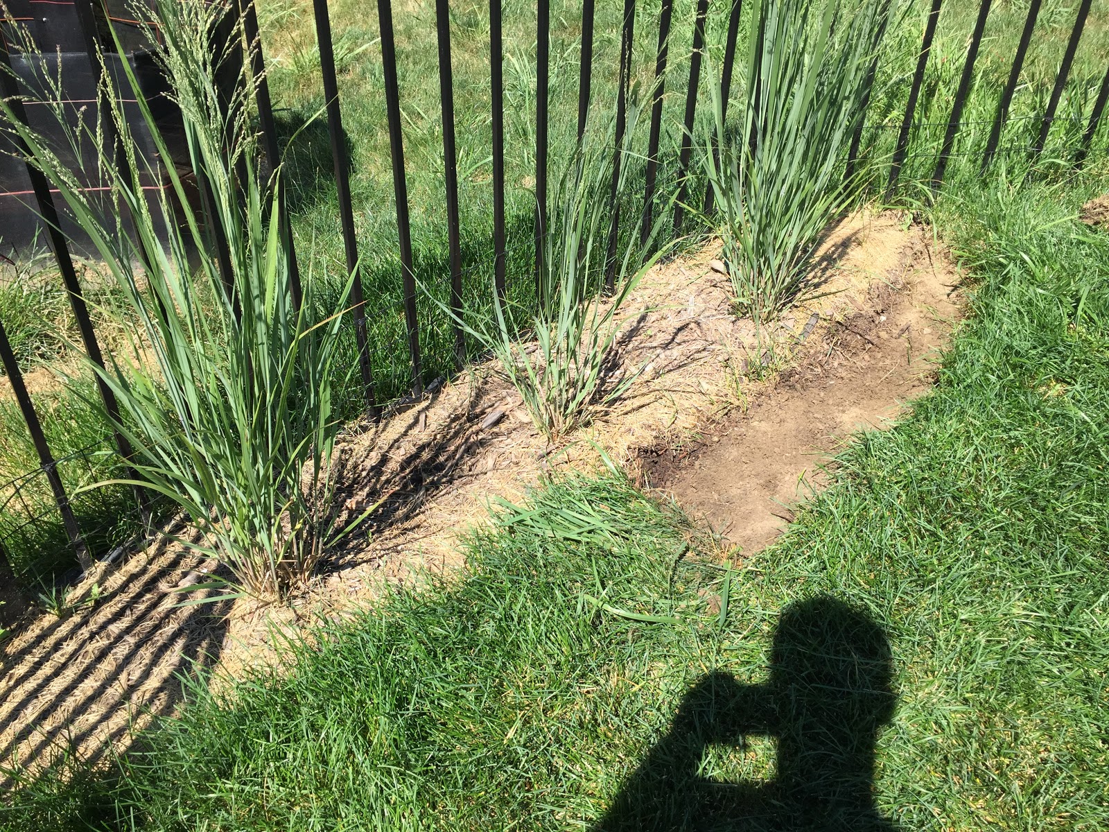 Expanding Mulch Beds [Backyard Neophyte Landscaping Blog]