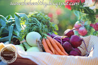 Carrots contain dietary fibers.