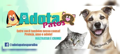 Adota Patos: Projeto de Lei de reconhecimento de Utilidade Pública