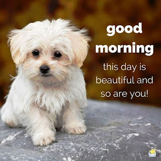 latest motivational quotes and also romantic quotes for morning latest motivational quotes and also romantic quotes for morning