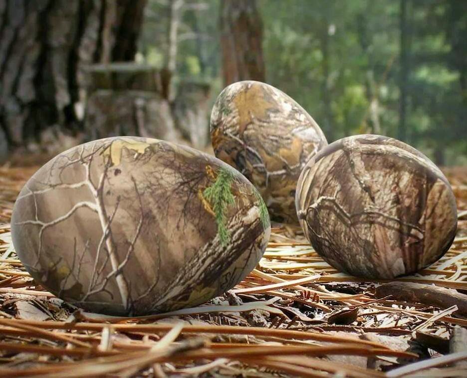Marian's Hunting Stories, etc., etc., etc... Camo Easter Eggs