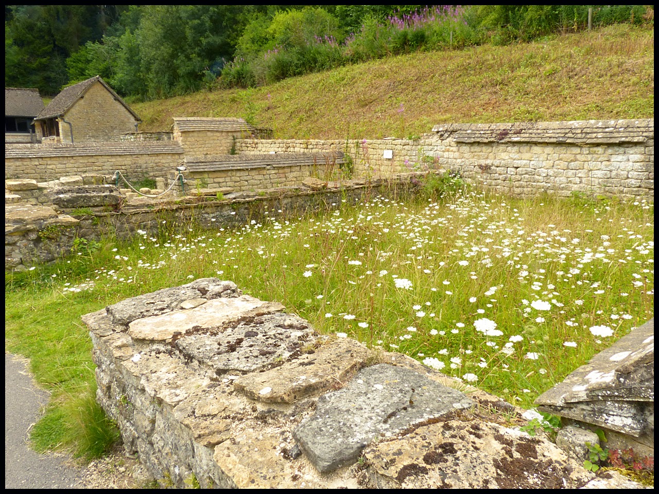 Wild and Wonderful Lizards and Roman Snails at Chedworth Roman Villa