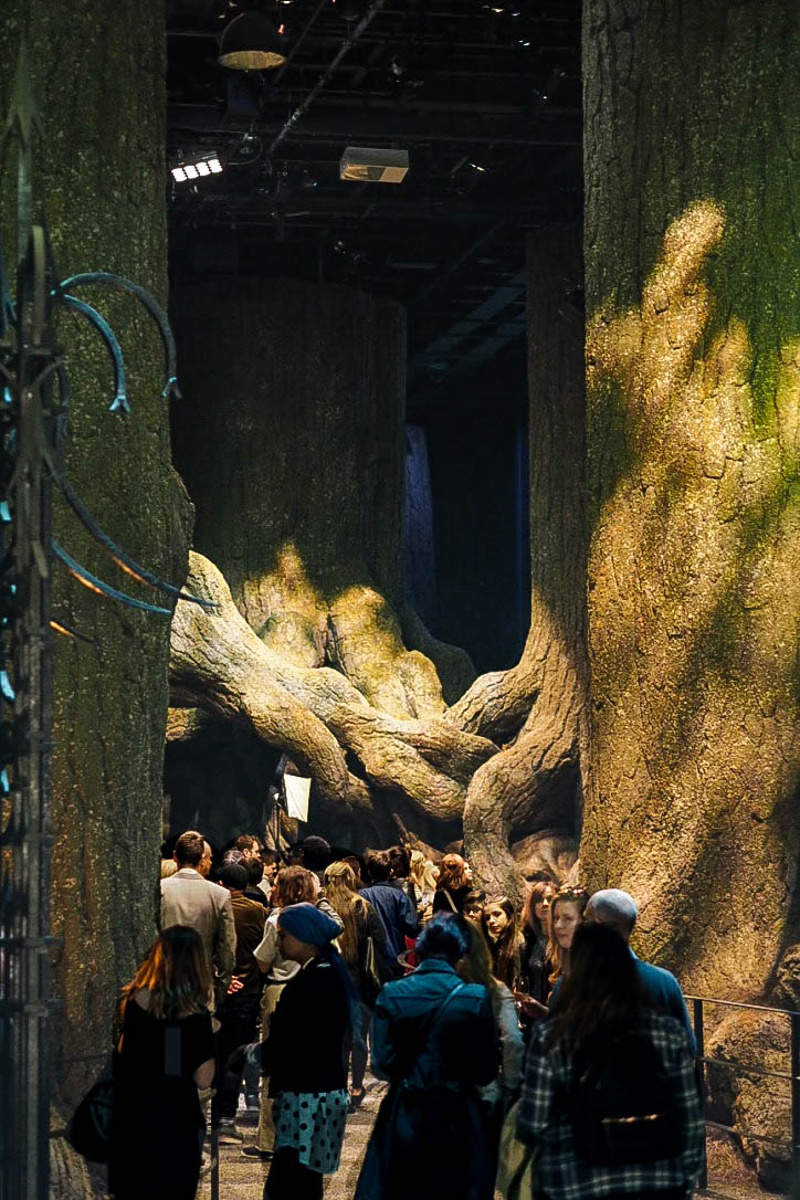 Forbidden Forest at Harry Potter Warner Brothers Studio Tour