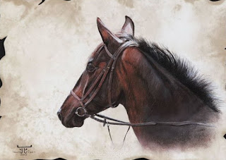 lienzos-caballos-pinturas