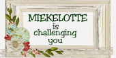 mieke lottes challenge