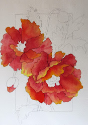watercolor poppies painting watercolour workshop painted tutorial prism flowers paint paintings flower petals techniques step tutorials alizarin watercolors using crimson