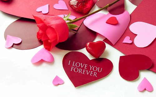 I Love You Red Rose Wallpaper