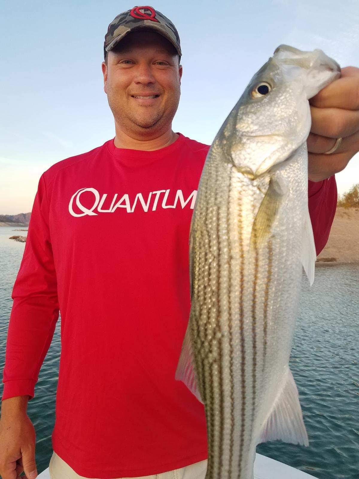 Fishing with Todd Reed LAS VEGAS Lake Mead Striper Fishing