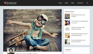Breeze Responsive Personal Blogger Template Breeze Responsive Personal Blogger Template