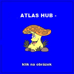 ATLAS HUB -