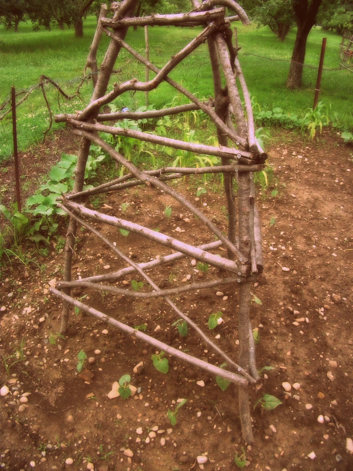 The Life of a Novice! Farm Friday In The Garden