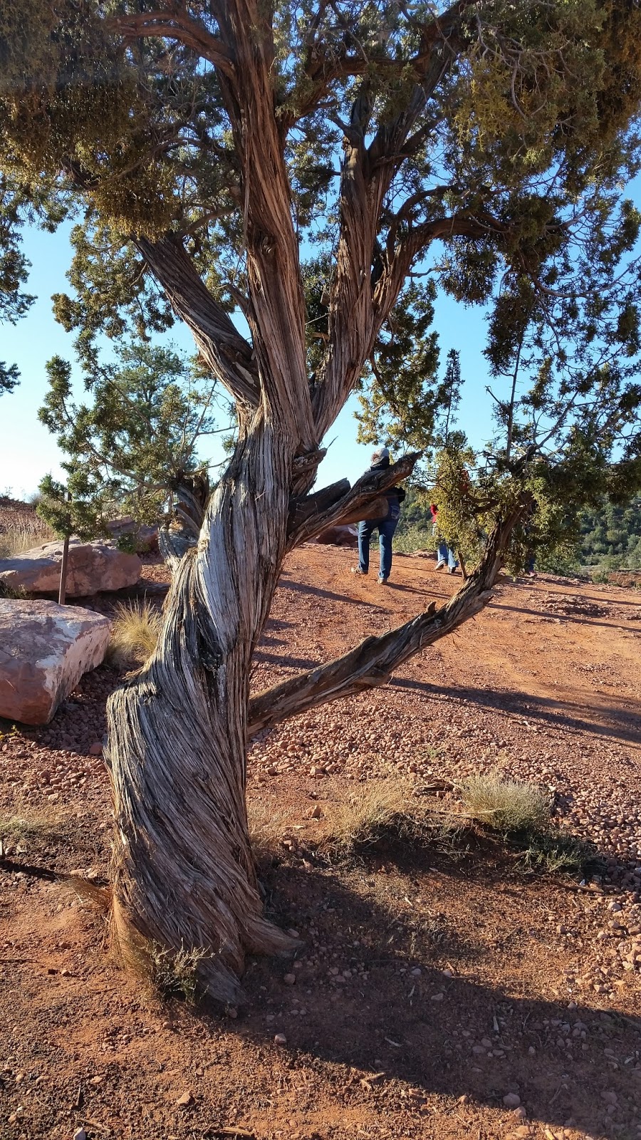 The Raisin Chronicles Travel Tuesday Sedona, Arizona