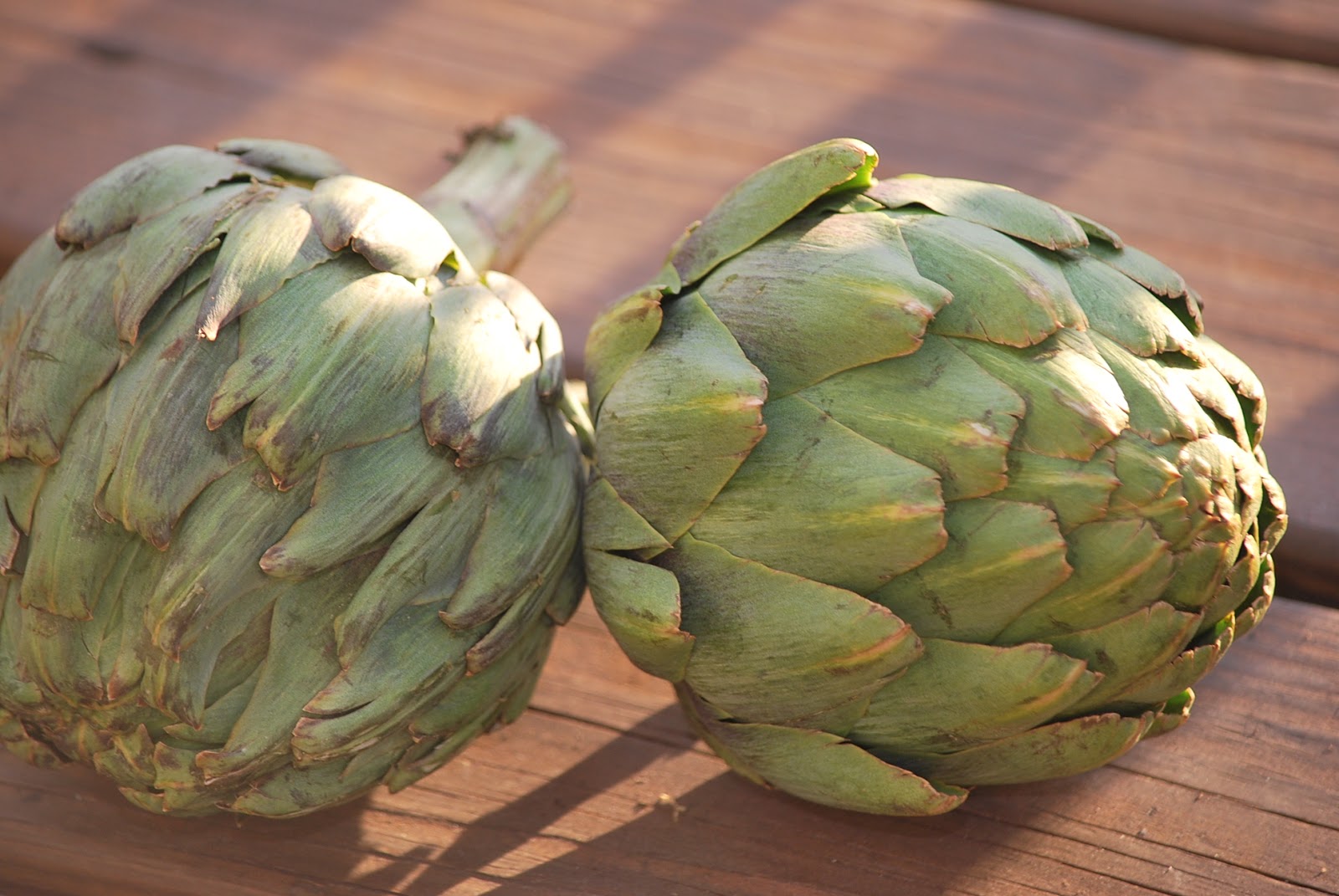 My story in recipes Roman Style Artichokes