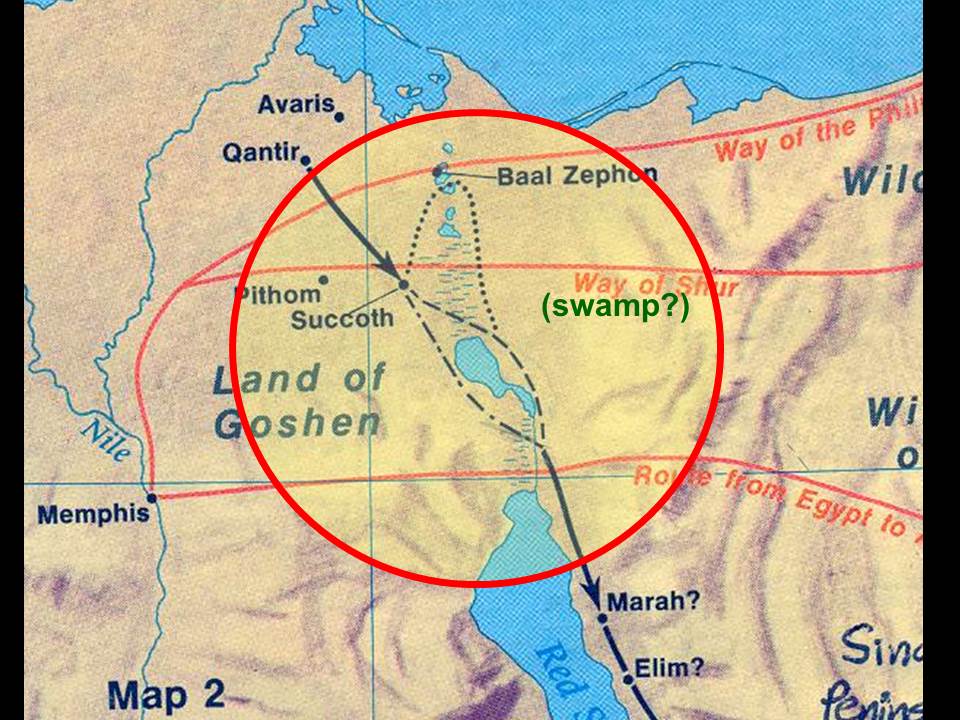 Noah's Ark, Genesis and Science Political Forum