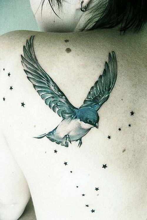 bird tattoo with stars yıldızlı kuş dövmesi bird tattoo with stars yıldızlı kuş dövmesi