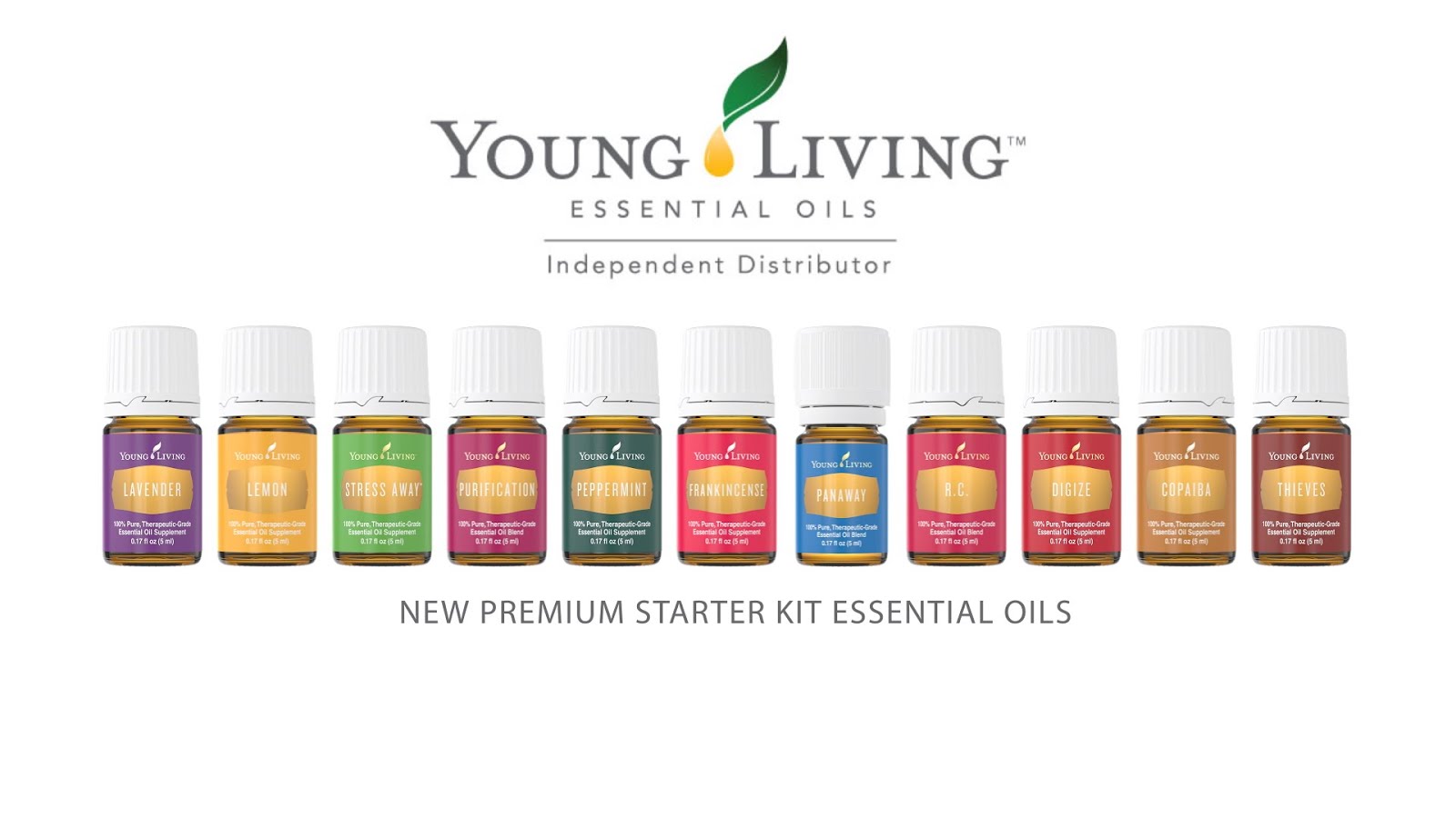 YOUNG LIVING SILVER LEADER