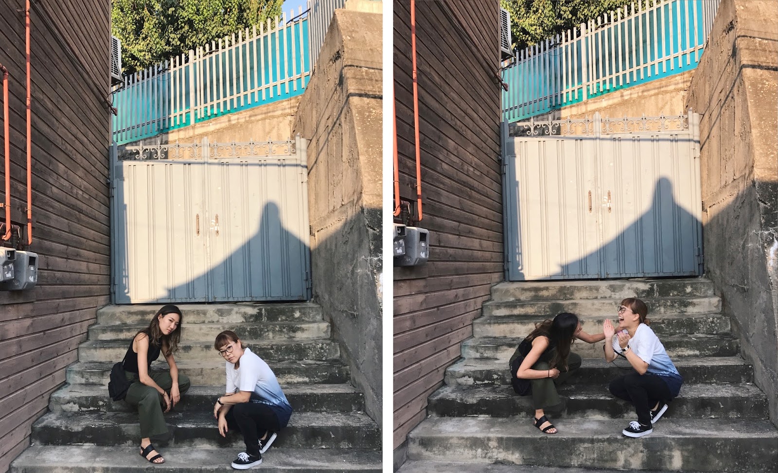 the splendor display.: 2017