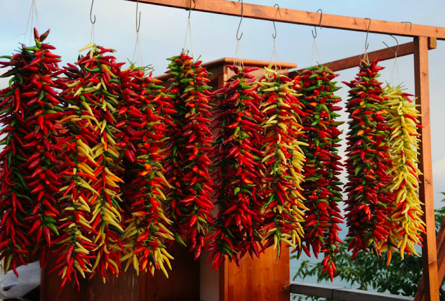 There will also be chilli-eating contests, like the “International Championship of chilli pepper eaters”