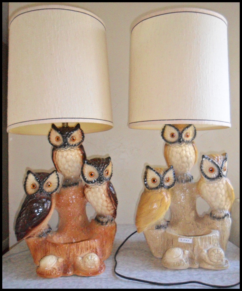 TREASURES IN THRIFTING LAND Would You Buy It Wednesday Pair Of Owl Lamps