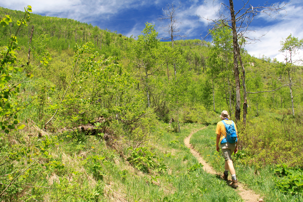 Colorado Lifestyle Game Creek
