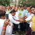 बलिया - सिकन्दरपुर में एवीबीपी के 69वां स्थापना दिवस पर हुआ पौधरोपण