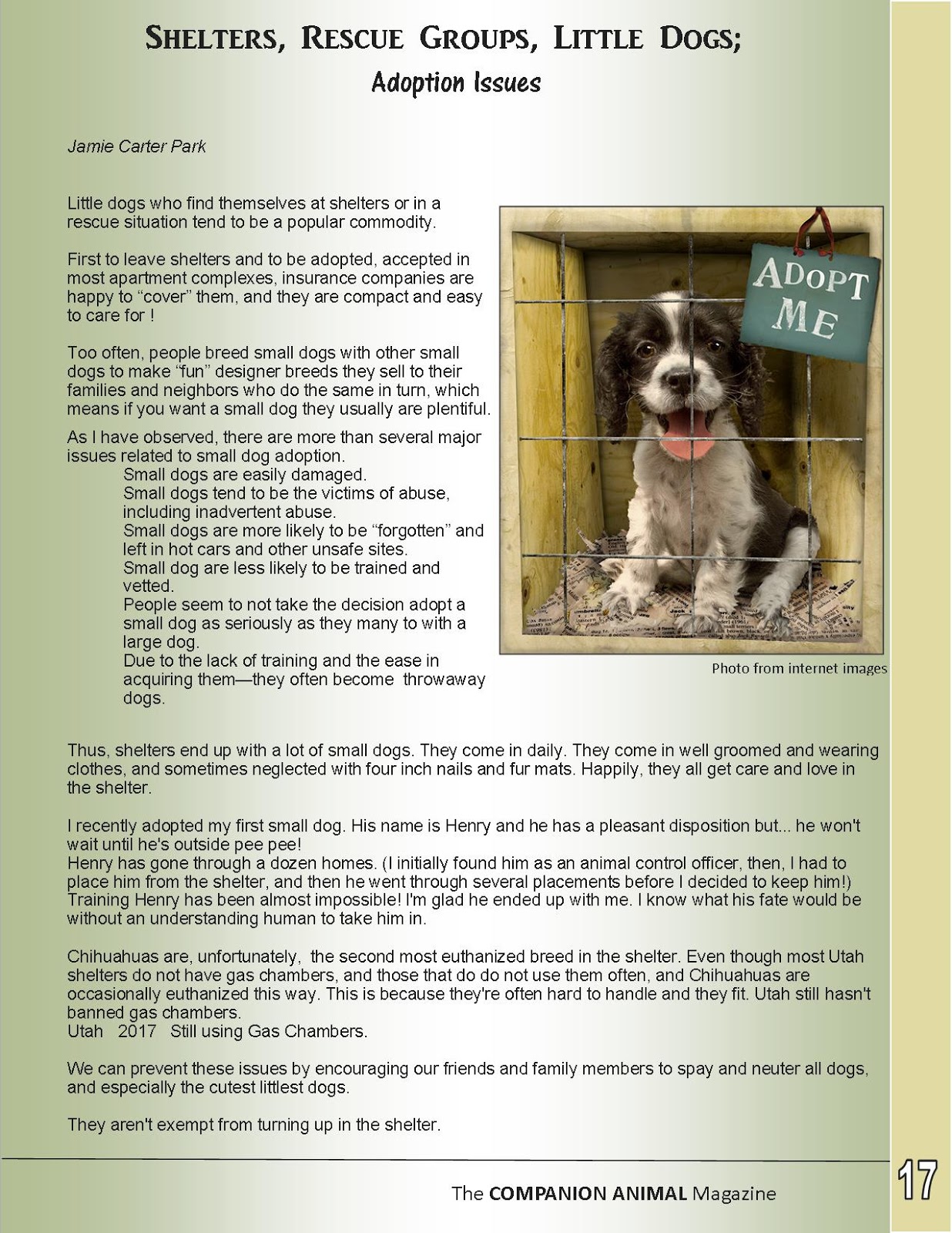 jamie jpg ban animal gas chamber flyer