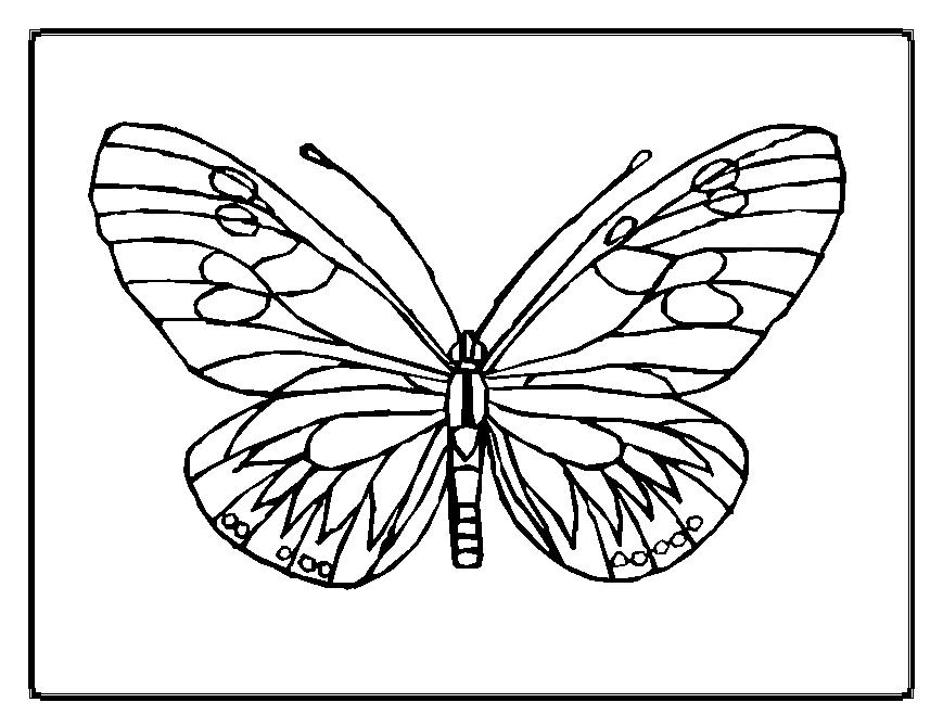 label butterfly coloring pages - photo #36
