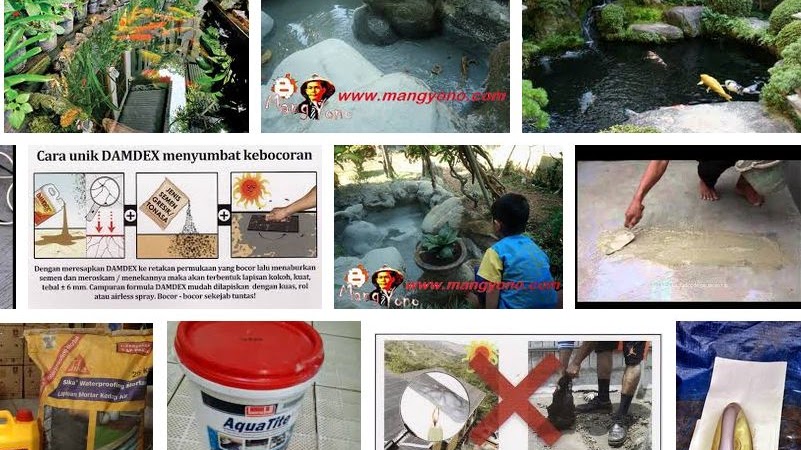 Cara mengusir nyamuk di kolam ikan