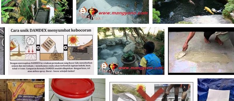 Cara Mengatasi Kolam Ikan yang Rembes dan Bocor
