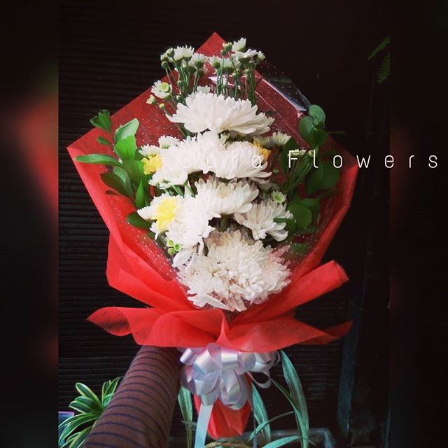 jual bunga jambi tungkal bangko bungo sarolangun kerinci dan sekitarnya safa flower and jual bunga jambi tungkal bangko bungo sarolangun kerinci dan sekitarnya safa flower and