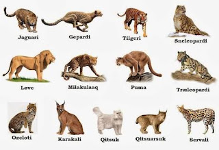 JURNAL BELAJAR TELAAH BIOLOGI : jurnal belajar pertemuan ke 3