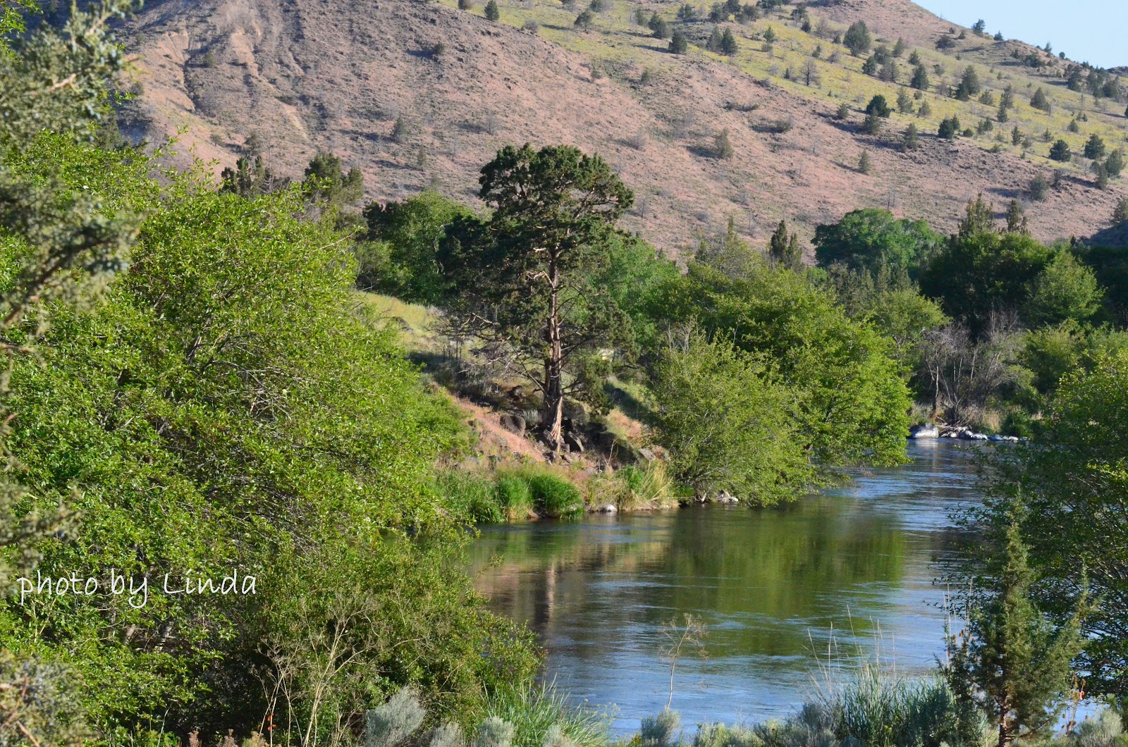 Oregon through my eyes Deschutes River and Trout Creek near Gateway, Oregon