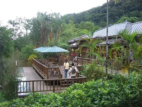 林田山林業文化園區|怡園渡假村|理想大地|遠雄悅來大飯店|東華大學