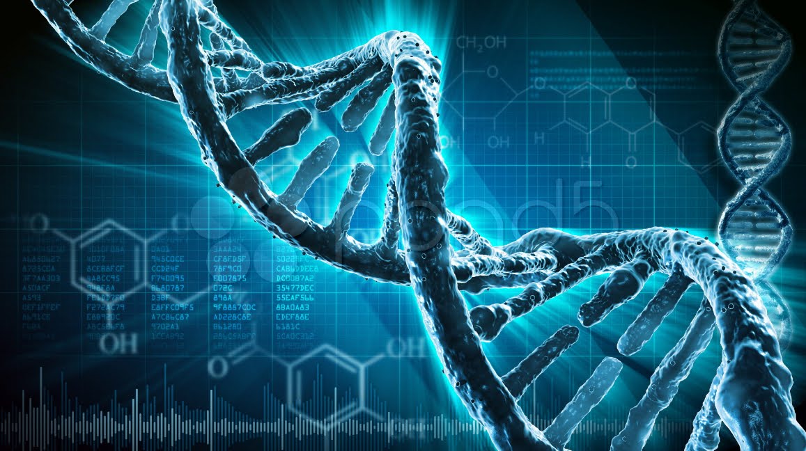 Il nostro DNA è un biocomputer con funzioni medianiche: telepatia, irradiazione e contatto interdimensionale.