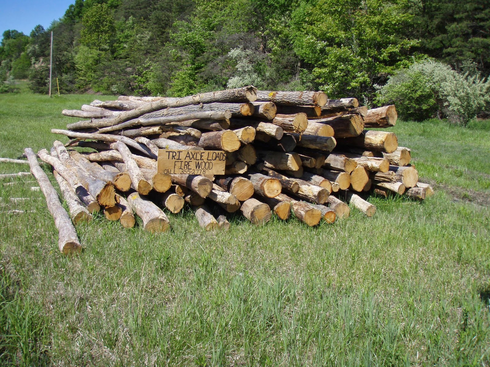 Central Pennsylvania Forestry Thinking About Firewood