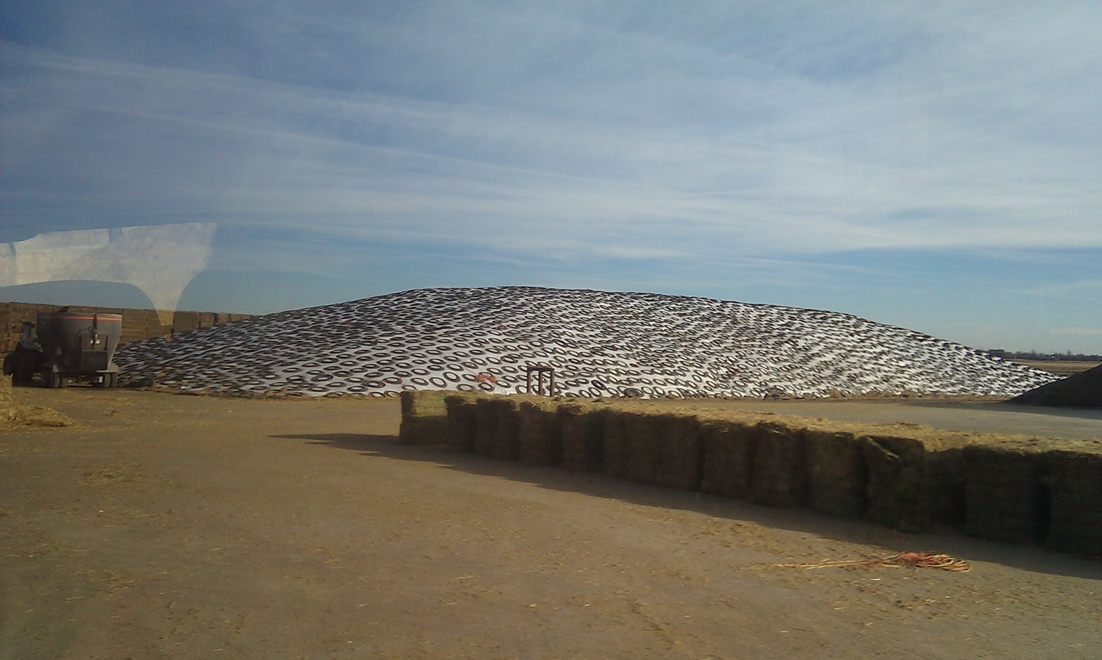 Soaring Eagle Three Girls Farmin' with Dad Fair Oaks Dairy A MUST