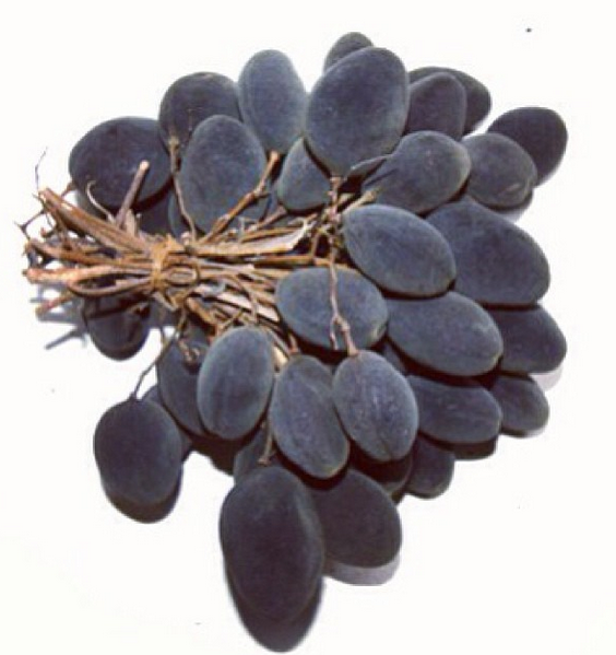 Health Benefits of Velvet Tamarind