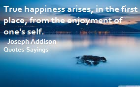 enjoyment quotes