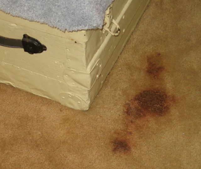 How To Remove Dried Blood Stains From Wool Carpet Lets See How To Remove Old Blood Stains From Carpet
