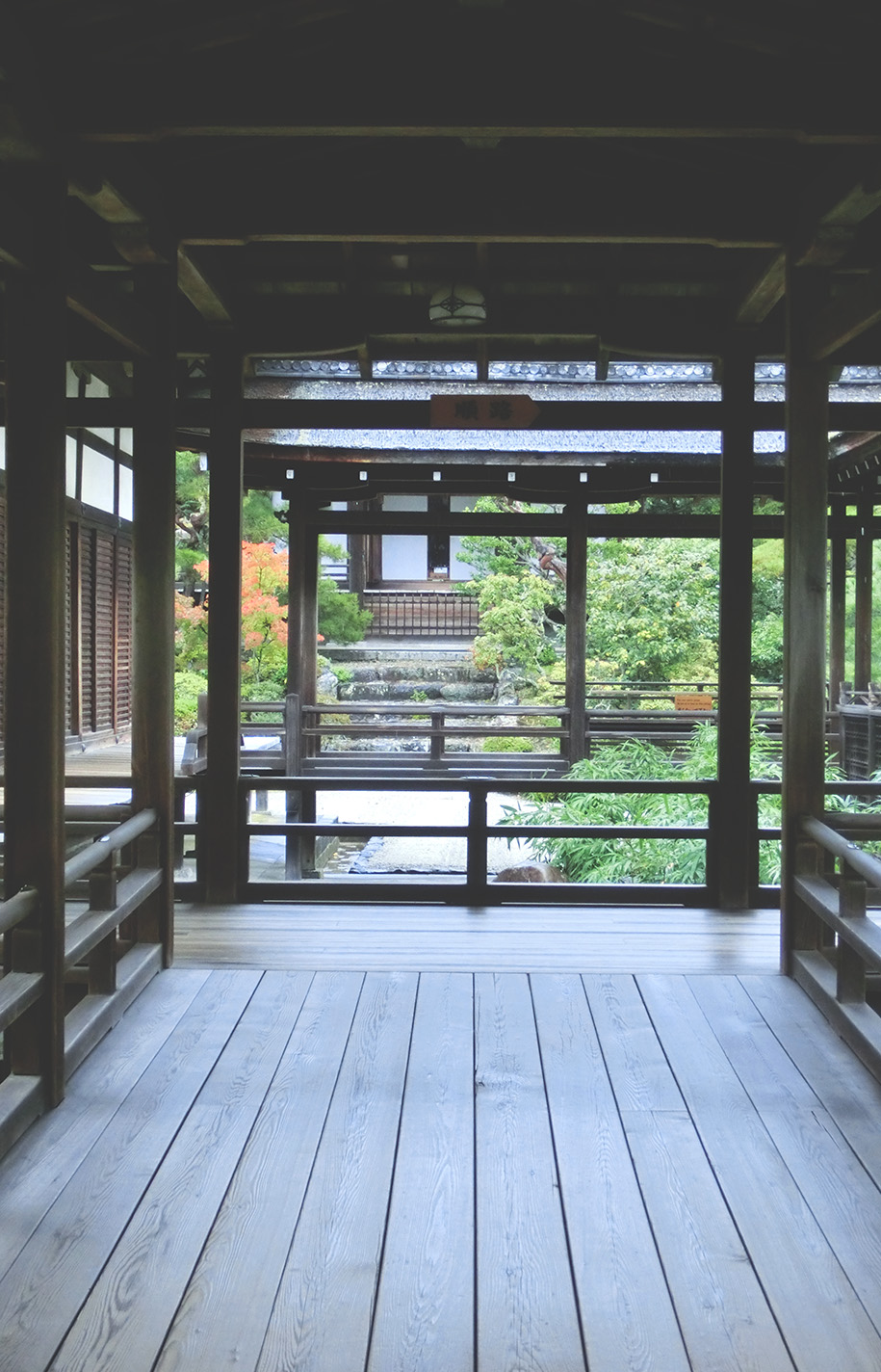 宅貓の窩 秋季未深時 京都篇 仁和寺 龍安寺 金閣寺