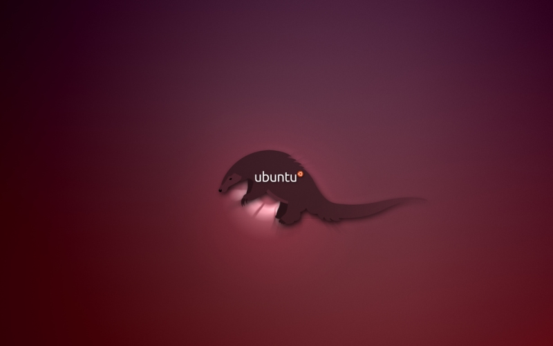 how to install ubuntu on a mac using netboot