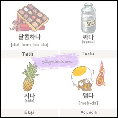 Bir Hayalim Var: Korece - Zıt Anlamlı Kelimeler