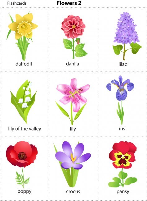 Cards For Kids Sheets Children S Flowers Cards For Kids Sheets Children S Flowers