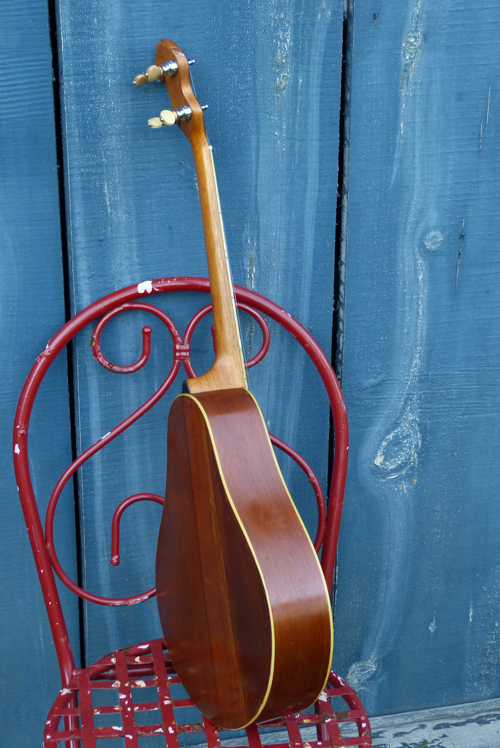 c.1925 Washburn Style 5265 Tenor Guitar/Baritone Uke Conversion
